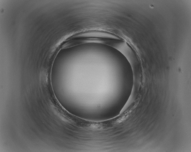X0000082980060200702011433
