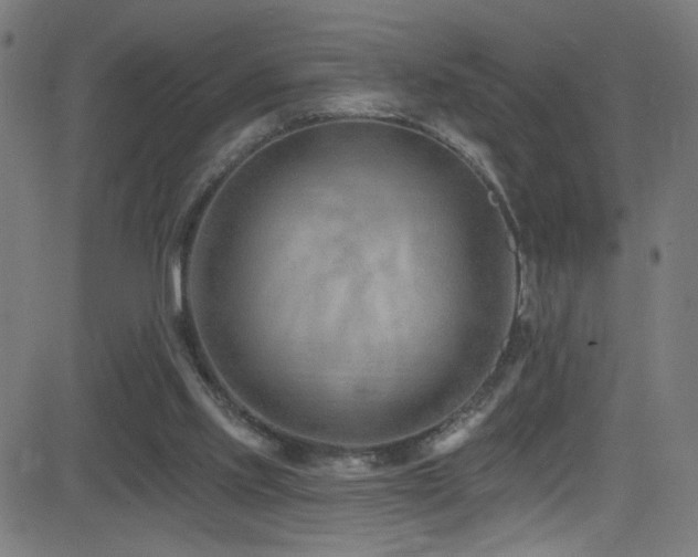 X0000082980061200702011433