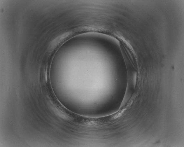 X0000082980062200702011433