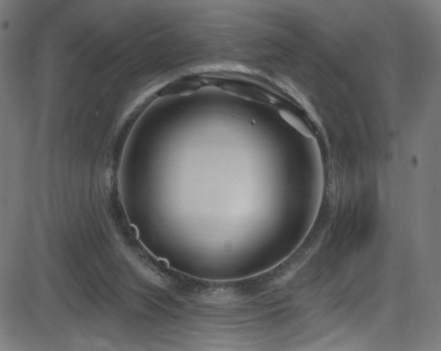 X0000082980063200702011433