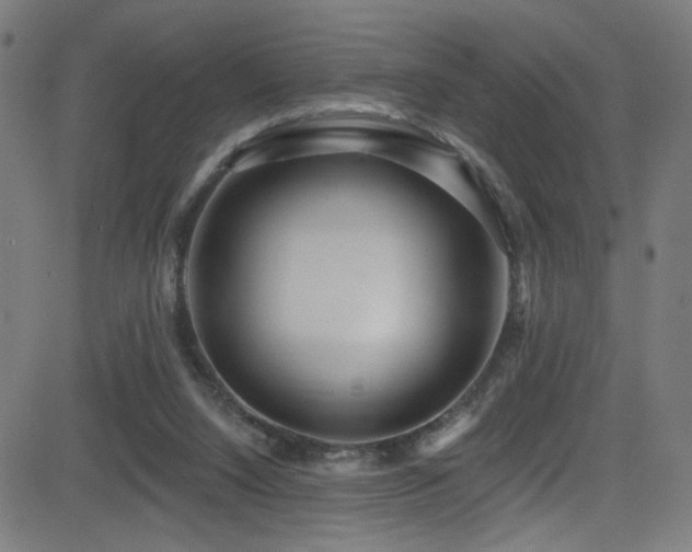 X0000082980064200702011434