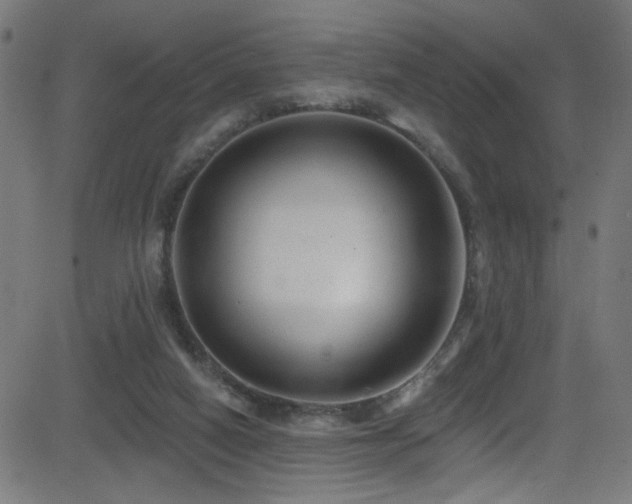 X0000082980066200702011434