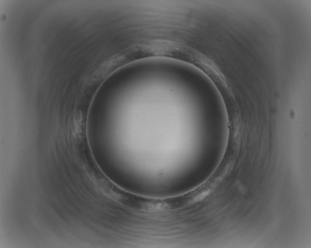 X0000082980073200702011434