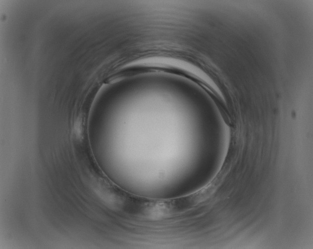 X0000082980074200702011434