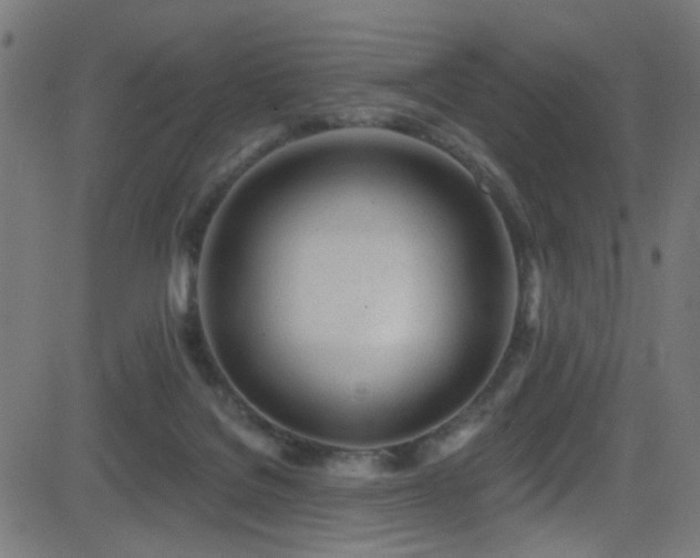 X0000082980076200702011434