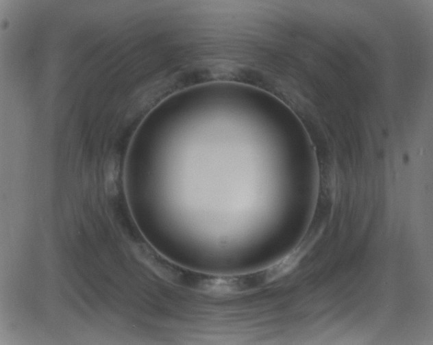 X0000082980082200702011434