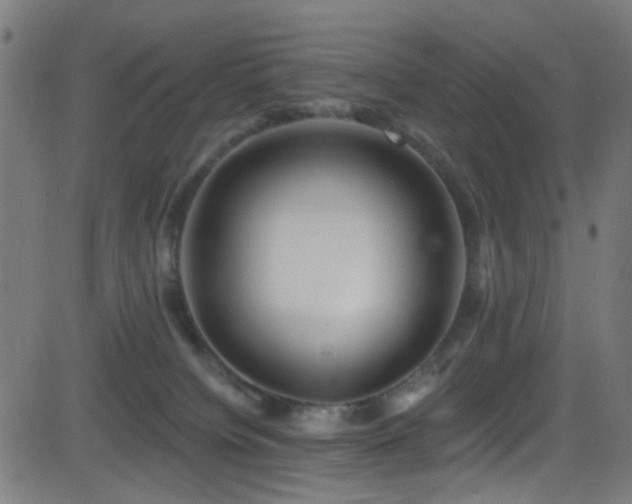X0000082980084200702011434