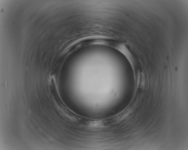 X0000082980088200702011434