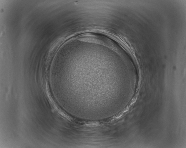 X0000082980097200702011433