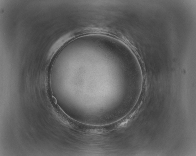 X0000082980103200702011433