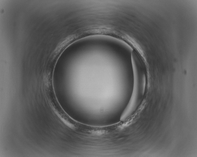 X0000082980105200702011433