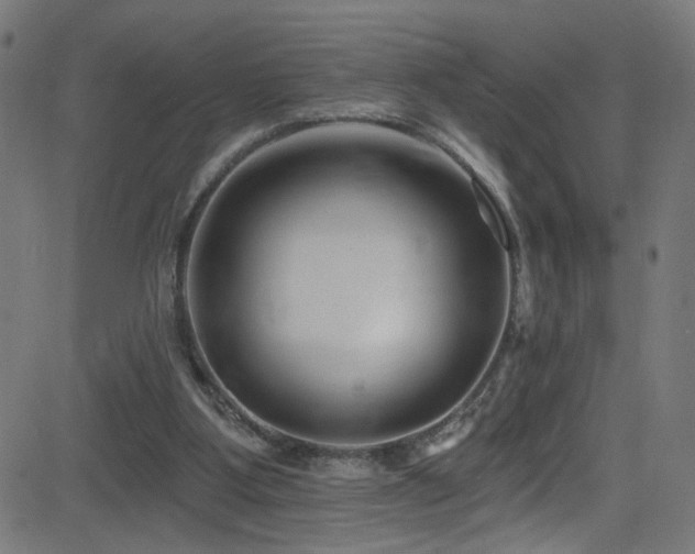 X0000082980107200702011433