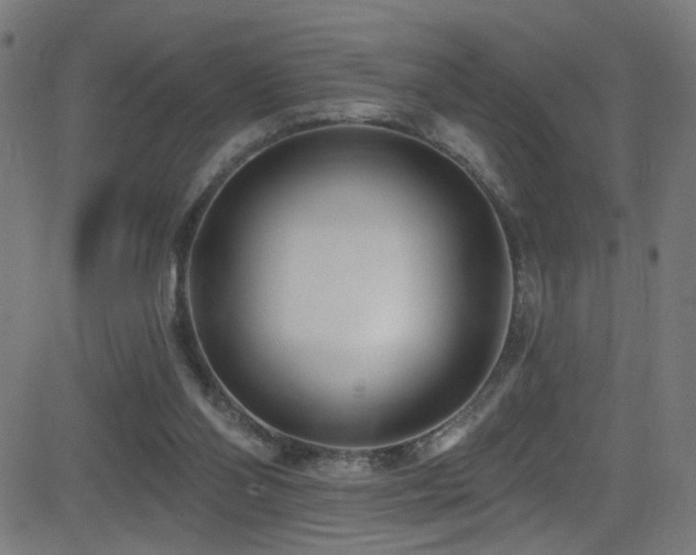 X0000082980110200702011433