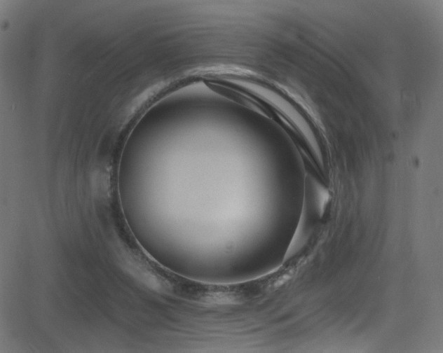 X0000082980111200702011433
