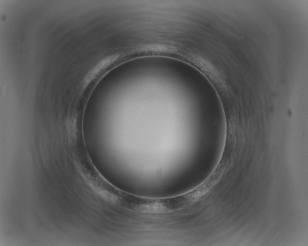 X0000082980112200702011433