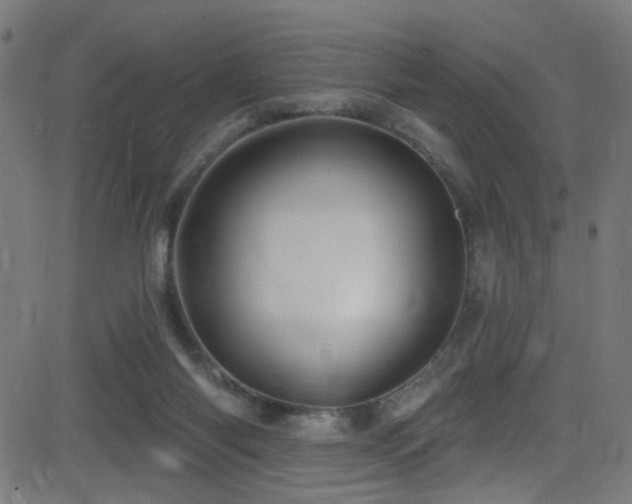 X0000082980118200702011433