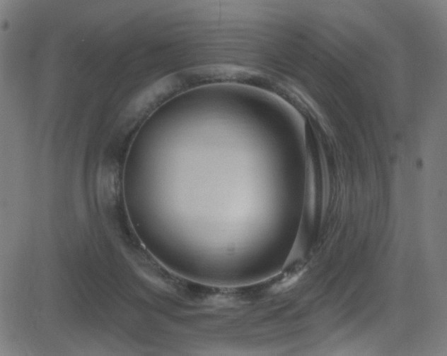 X0000082980119200702011433