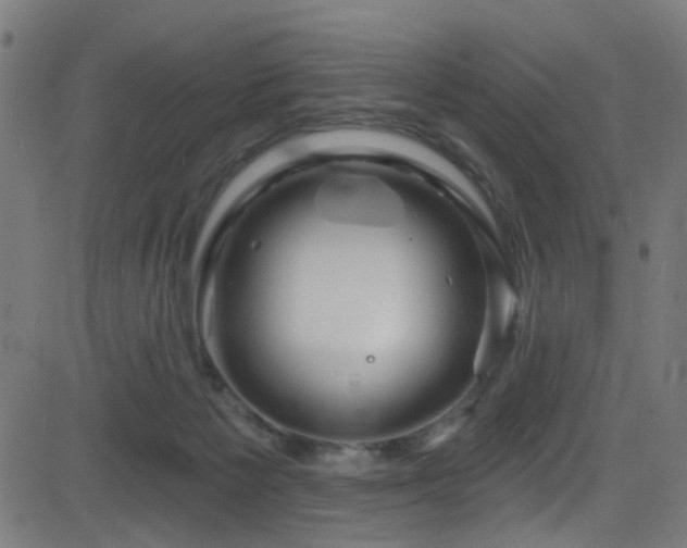 X0000082980125200702011433