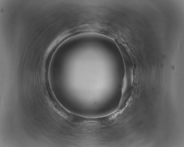X0000082980150200702011432