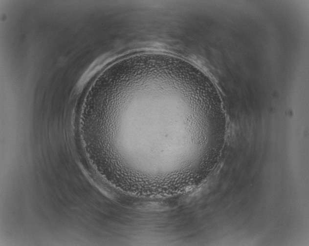 X0000082980151200702011432