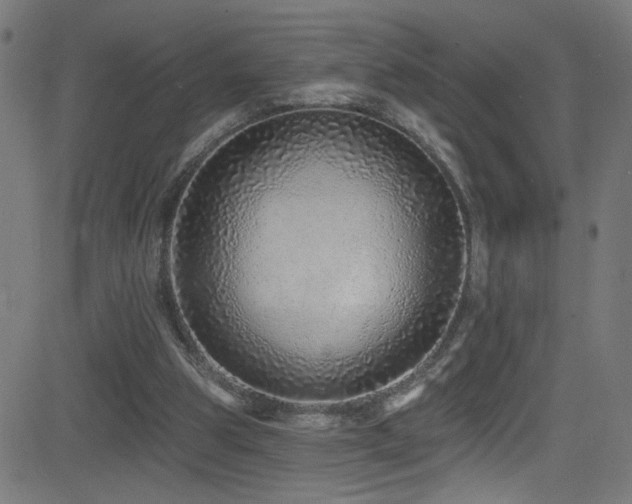 X0000082980153200702011432