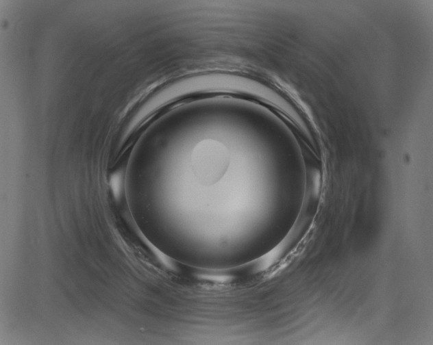 X0000082980154200702011432