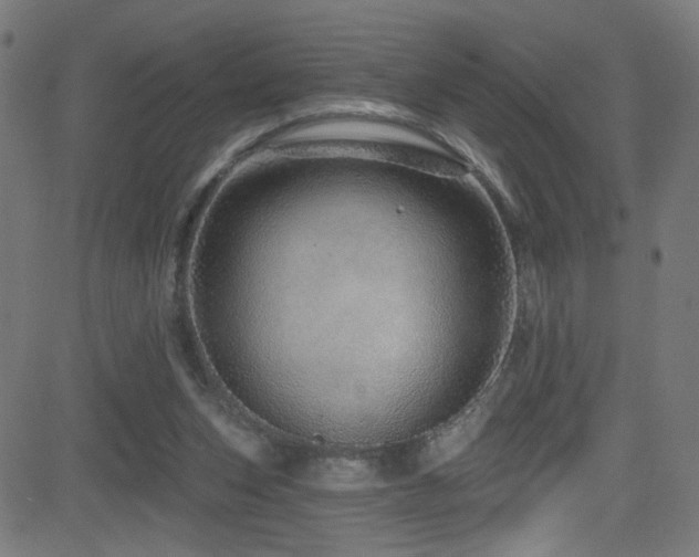 X0000082980159200702011432