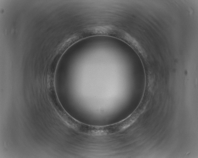 X0000082980161200702011432