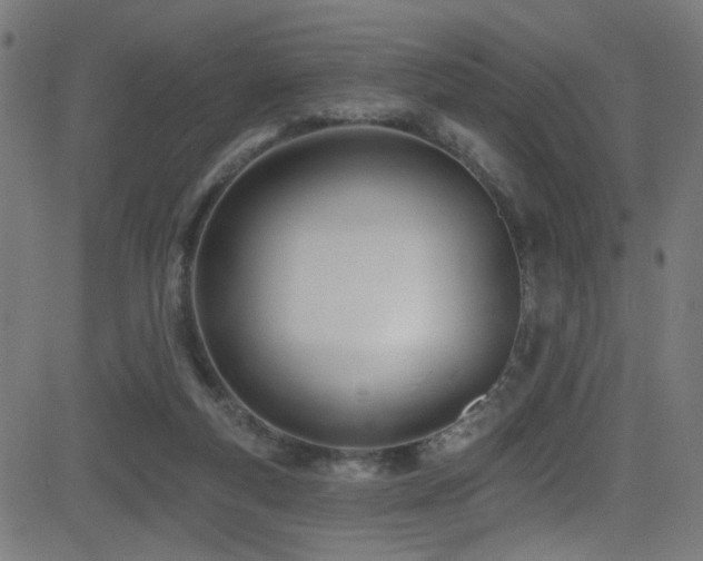 X0000082980163200702011432