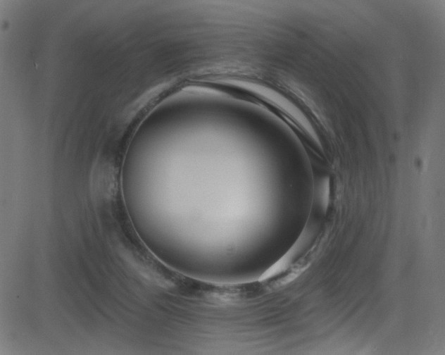X0000082980164200702011432