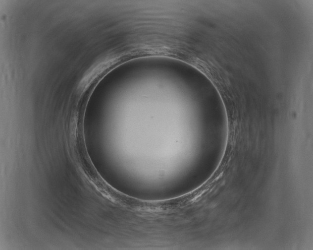 X0000082980194200702011432