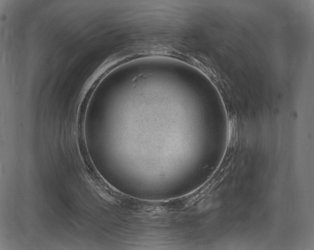X0000082980195200702011432