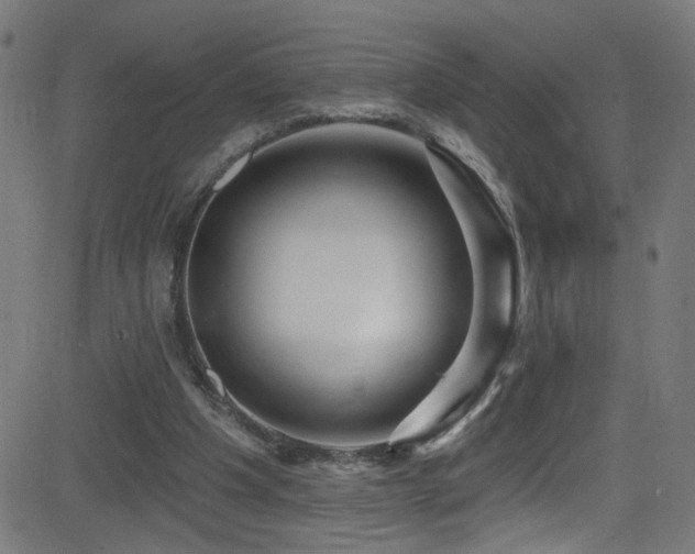 X0000082980201200702011432