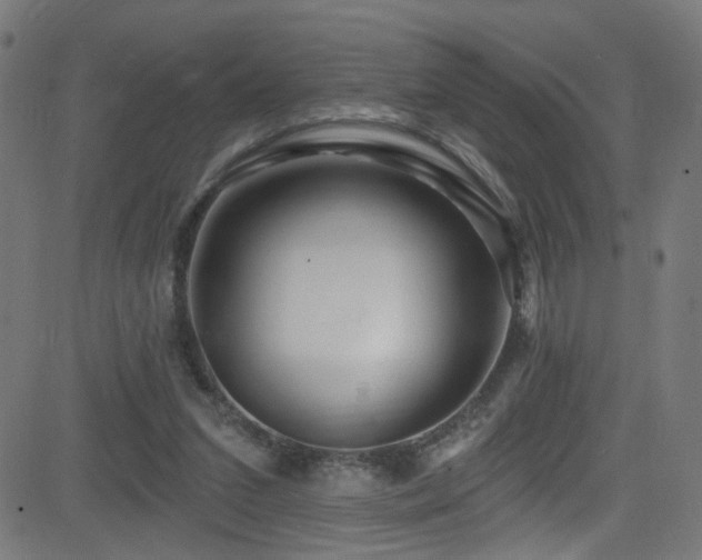 X0000082980207200702011431
