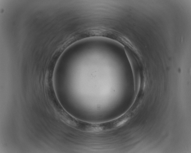 X0000082980217200702011431