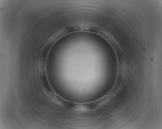 X0000082980218200702011431