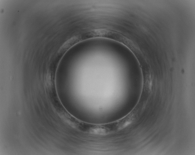 X0000082980220200702011431