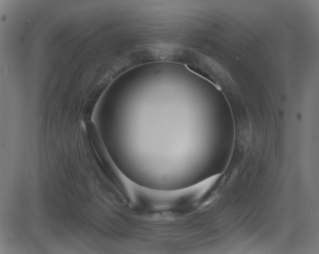 X0000082980221200702011431