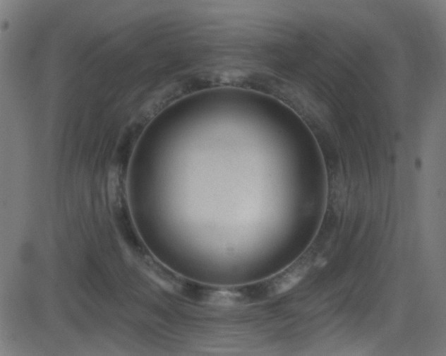 X0000082980222200702011431