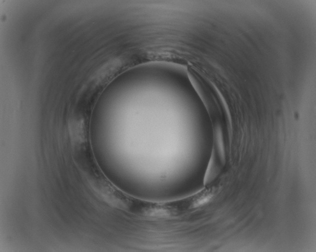 X0000082980224200702011431