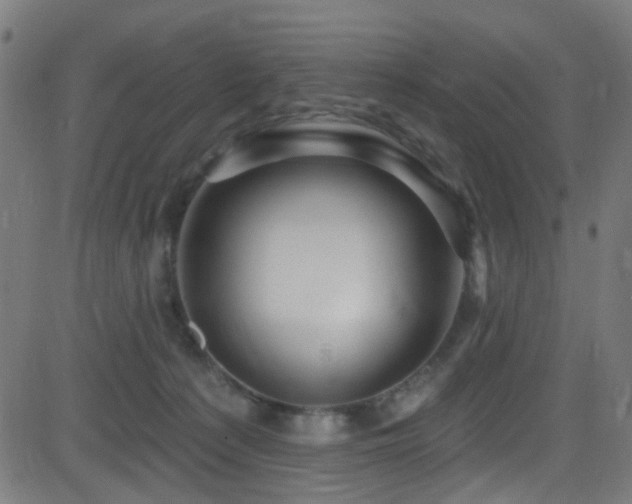 X0000082980225200702011431