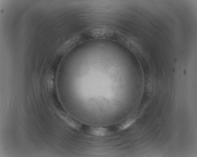 X0000082980226200702011431
