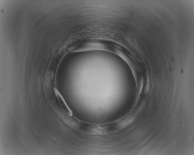 X0000082980229200702011431