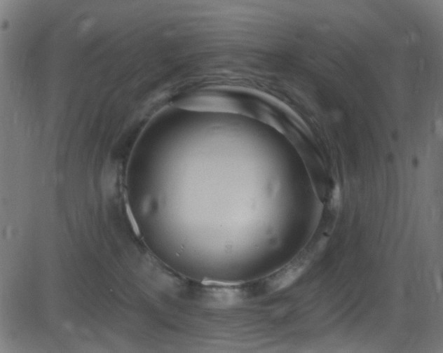 X0000082980233200702011431