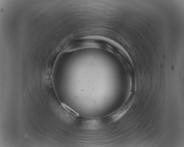 X0000082980237200702011431