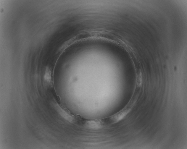 X0000082980238200702011431