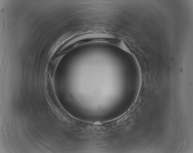 X0000082980242200702011430