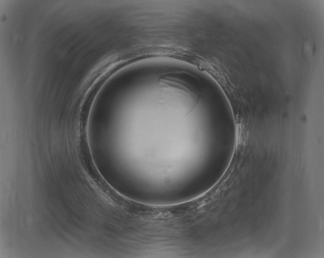 X0000082980243200702011430