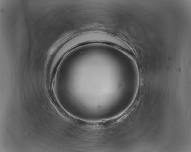 X0000082980245200702011430