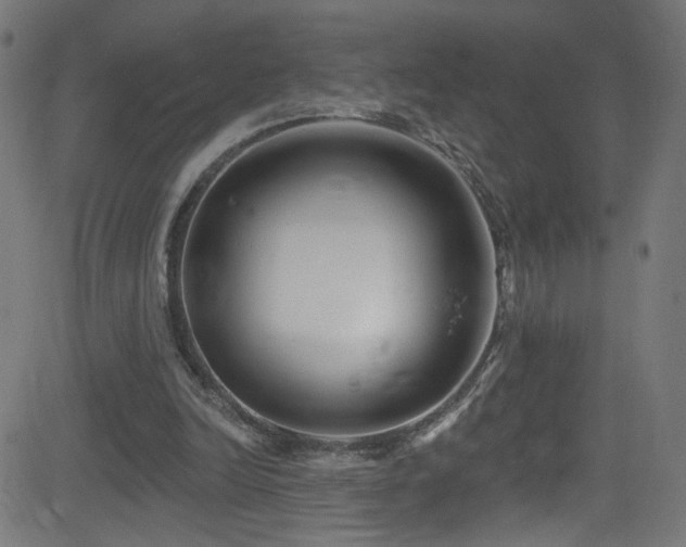 X0000082980246200702011430